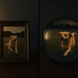 FirstGlimpse™ Memory Ball - FirstGlimpse